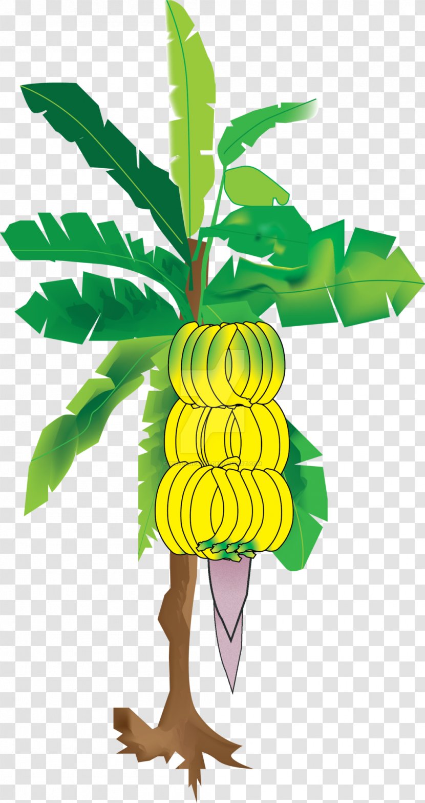 Cooking Banana Bread Clip Art - Leaf - Coconut Tree Transparent PNG