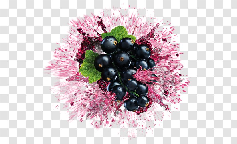 Grape Zante Currant Bilberry Blueberry Huckleberry - Superfood Transparent PNG