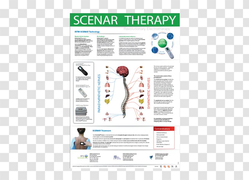 Therapy Image Trigeminal Neuralgia Poster Nerve - Posters Material Transparent PNG