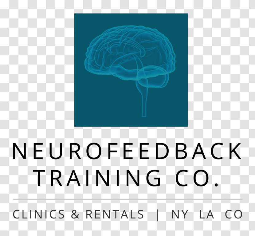 Neurofeedback Training Co. Los Angeles Pamir Mountains Murghab Khorugh - Flower - Tree Transparent PNG