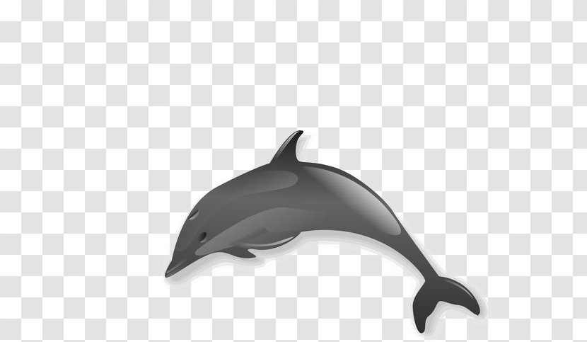 Spinner Dolphin Clip Art - Public Domain - Cartoon Transparent PNG