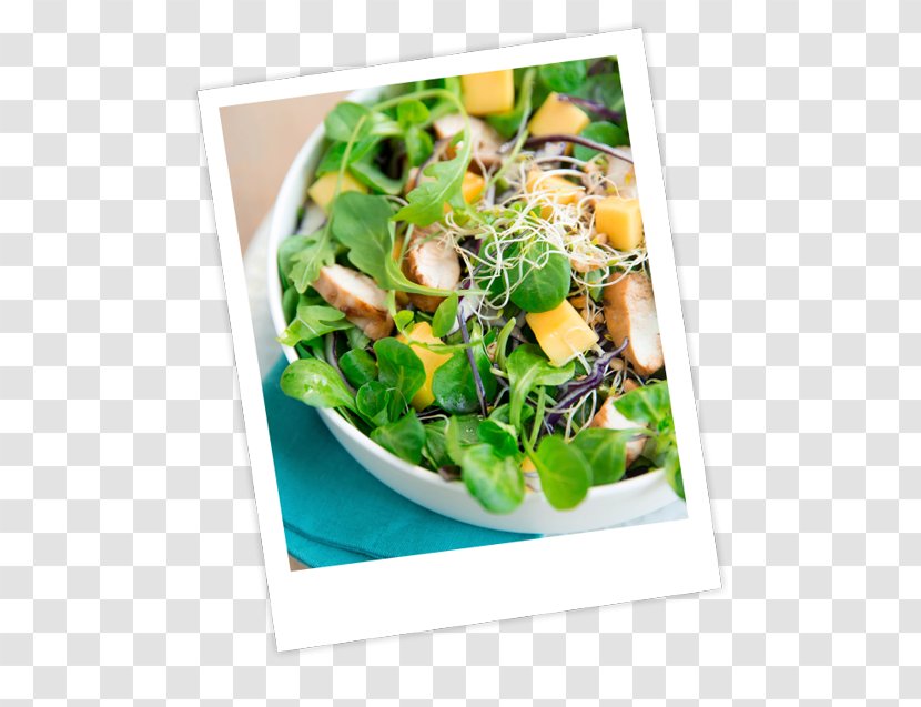 Salad Vegetarian Cuisine Vinaigrette Recipe Pesto Transparent PNG