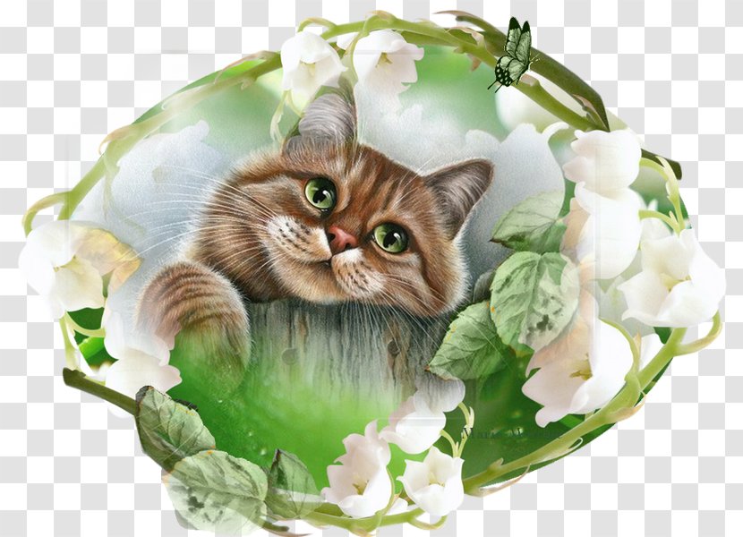 Cat Kitten Embroidery Painting Cross-stitch - Flower Transparent PNG