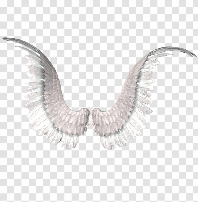 Drawing - Beak - Wings Transparent PNG