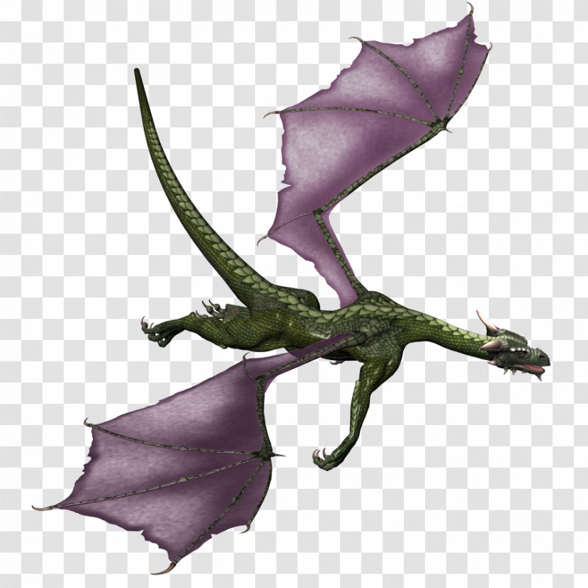 Dragon Game Google Images - Wyvern Transparent PNG