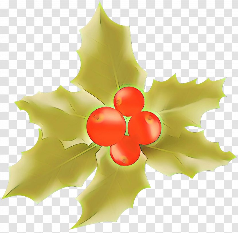 Holly - Flower Petal Transparent PNG