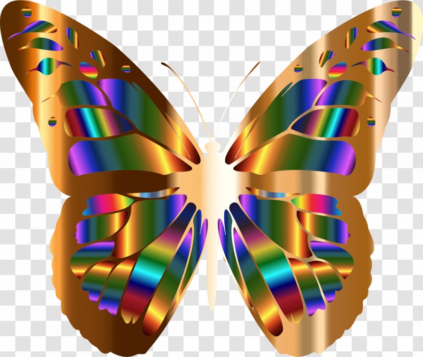 Monarch Butterfly Art Greta Oto - Flower Transparent PNG