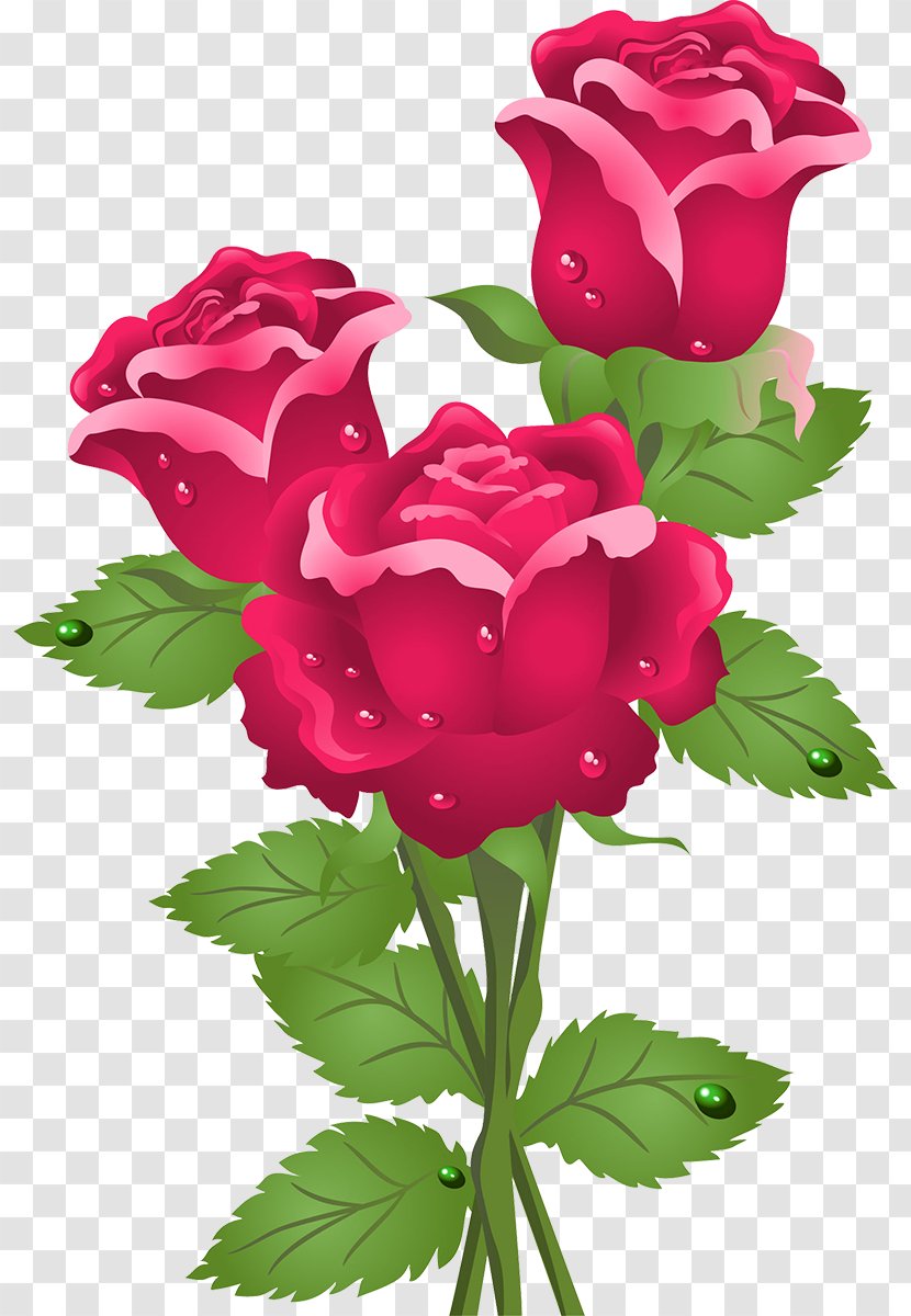 Rose Flower Clip Art - Family Transparent PNG