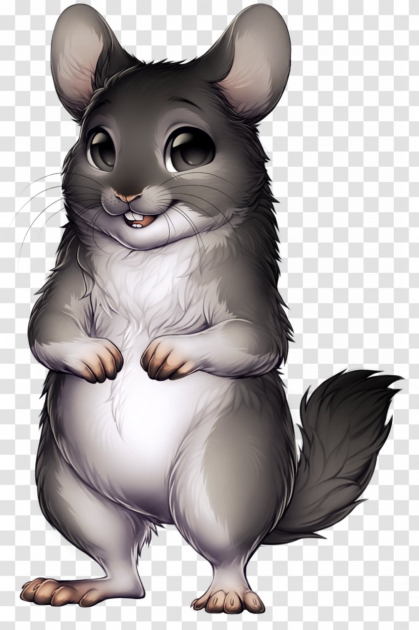 Chinchilla Rodent Mouse Whiskers - Marsupial Transparent PNG