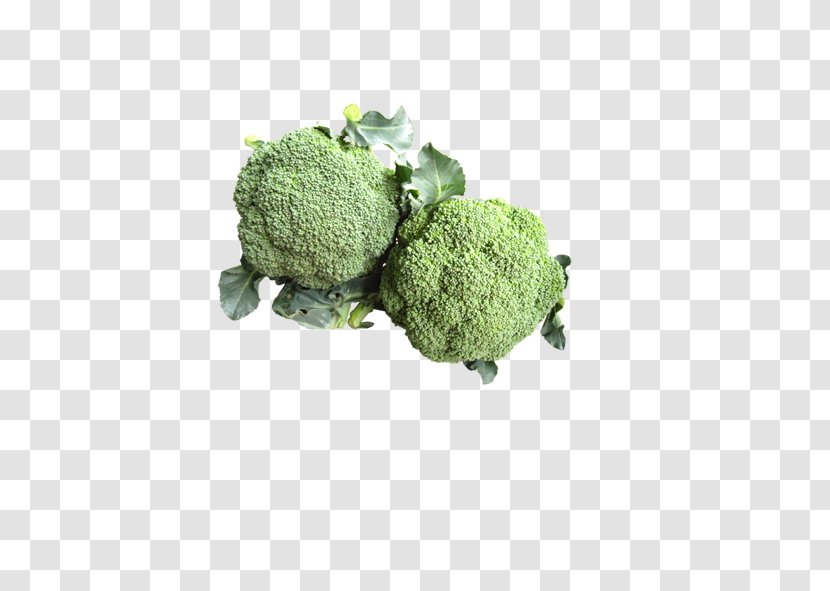 Broccoli Cauliflower Vegetable - Grass Transparent PNG