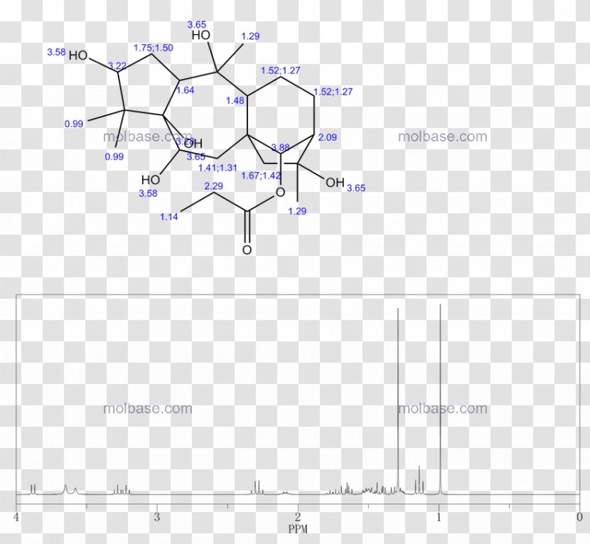 Product Design Line Angle Diagram - Schematic - Pieris Napi Transparent PNG