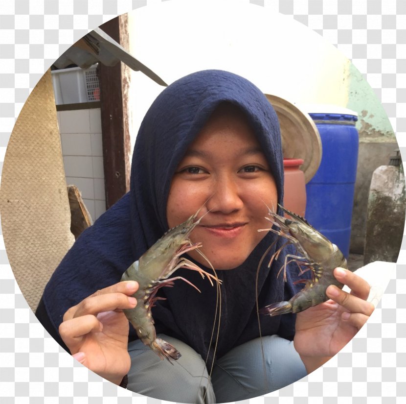 Hasanuddin University Aquaculture Universitas Budi Daya - Silhouette Transparent PNG