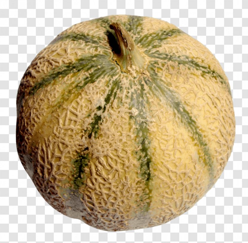 Cantaloupe Galia Melon Hami - Image File Formats Transparent PNG