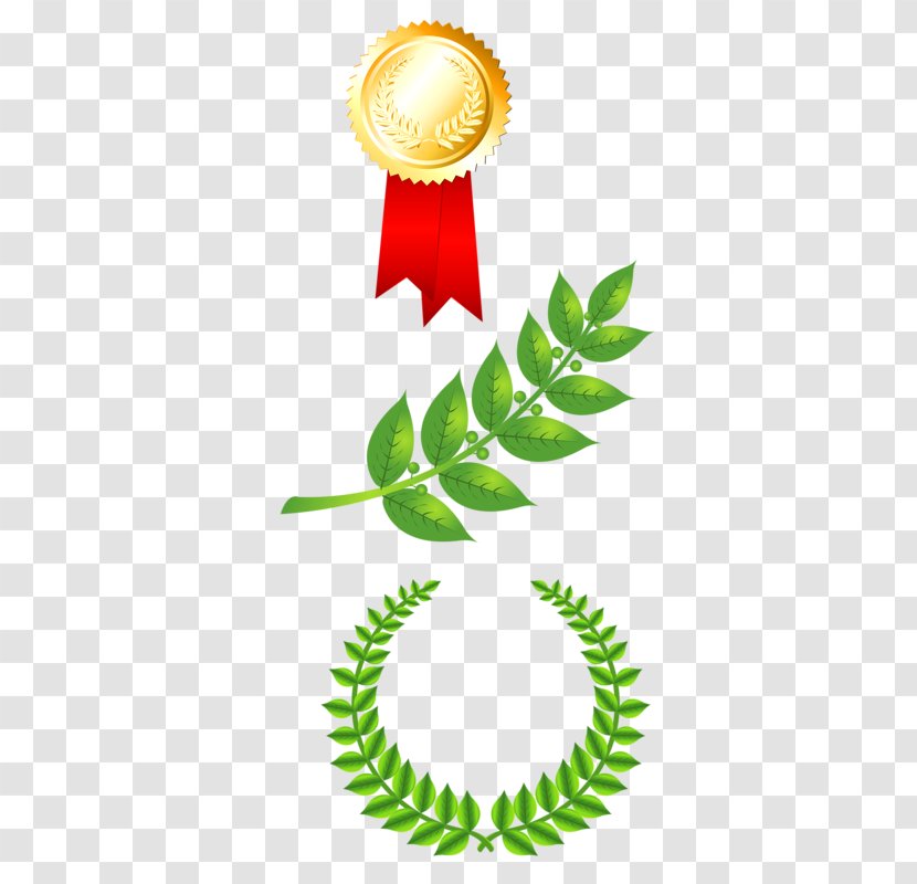 Olive - Flora - Medals And Leaf Transparent PNG