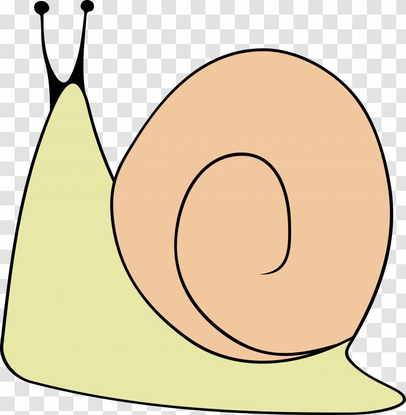 Snail Cartoon Line Beak Clip Art - Area Transparent PNG