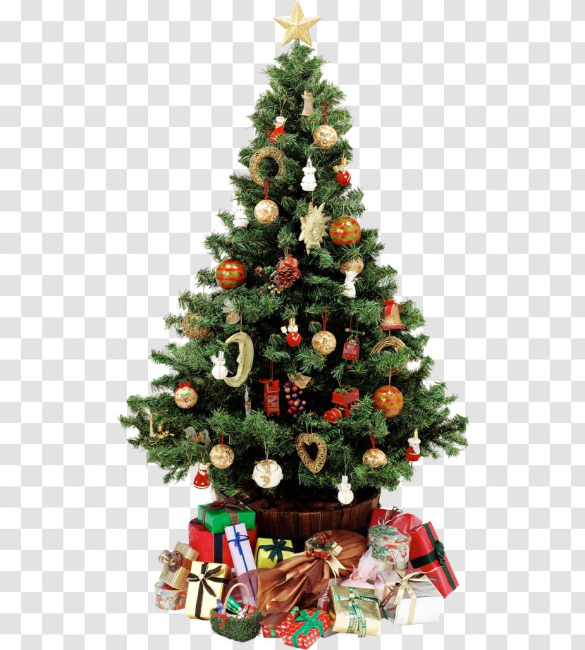 Christmas Tree Santa Claus - Pine Transparent PNG