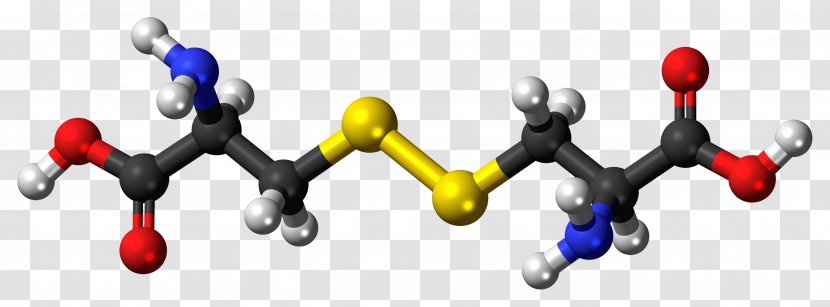 Glutamine Amino Acid Cytochrome P450 Testosterone - Glutamic Transparent PNG