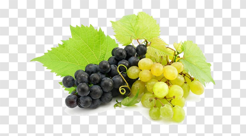 Cabernet Sauvignon Maryland Wine Berry Grape - Superfood Transparent PNG