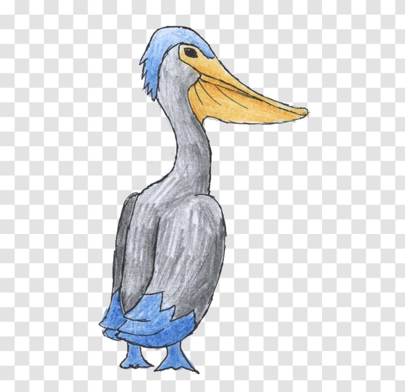 Duck Pelican Bird Illustration Beak - Brown Transparent PNG