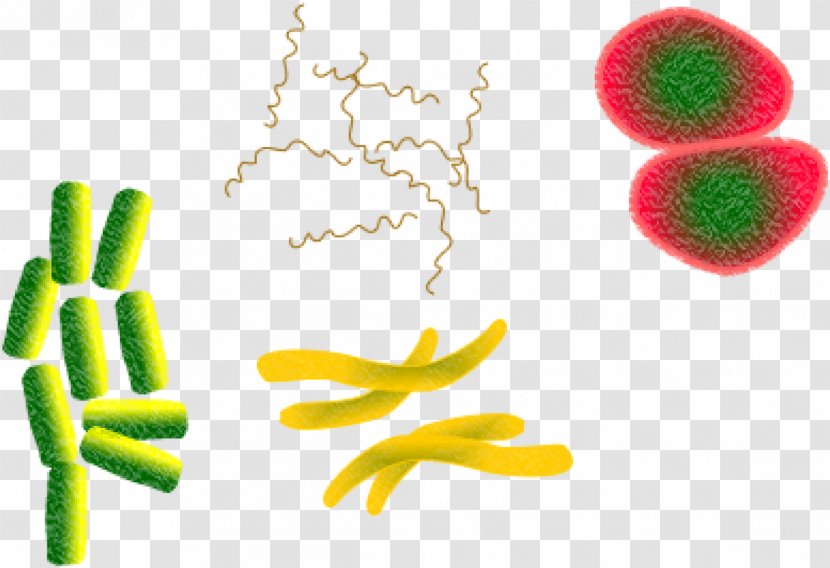 Bacteria Cartoon - Pathogen - Hand Health Transparent PNG