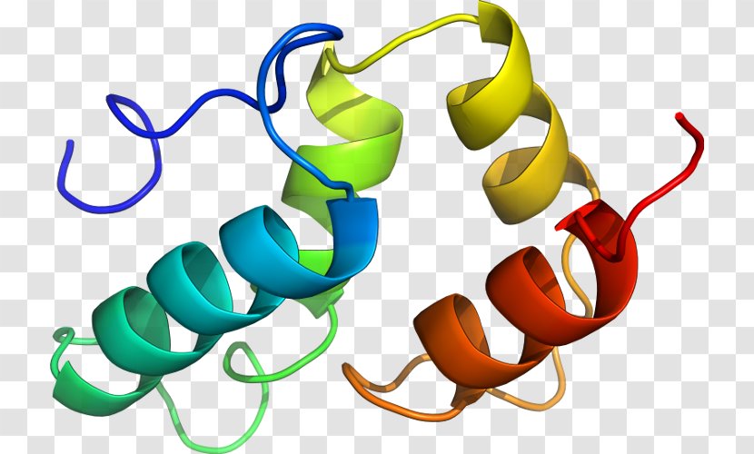 Clip Art Product Design Line Organism - Food - P24 Capsid Protein Transparent PNG