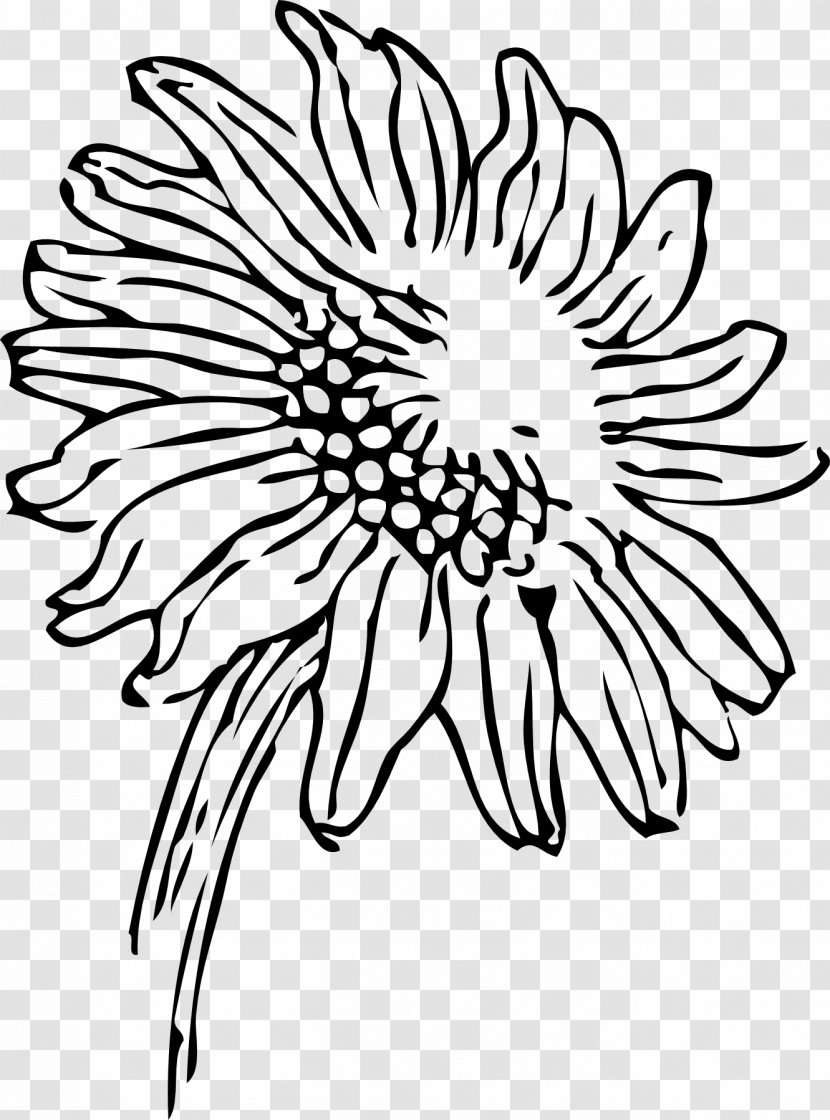 Clip Art Drawing Line Design Image - Wildflower - Blackandwhite Transparent PNG