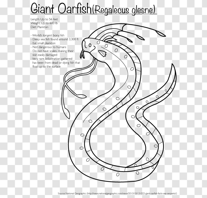 Giant Oarfish Coloring Book Drawing Bony Fishes Animals That Hibernate - Silhouette - Flower Transparent PNG
