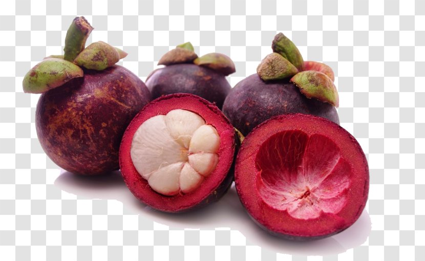 Apple Cartoon - Mangosteen - Food Garcinia Indica Transparent PNG