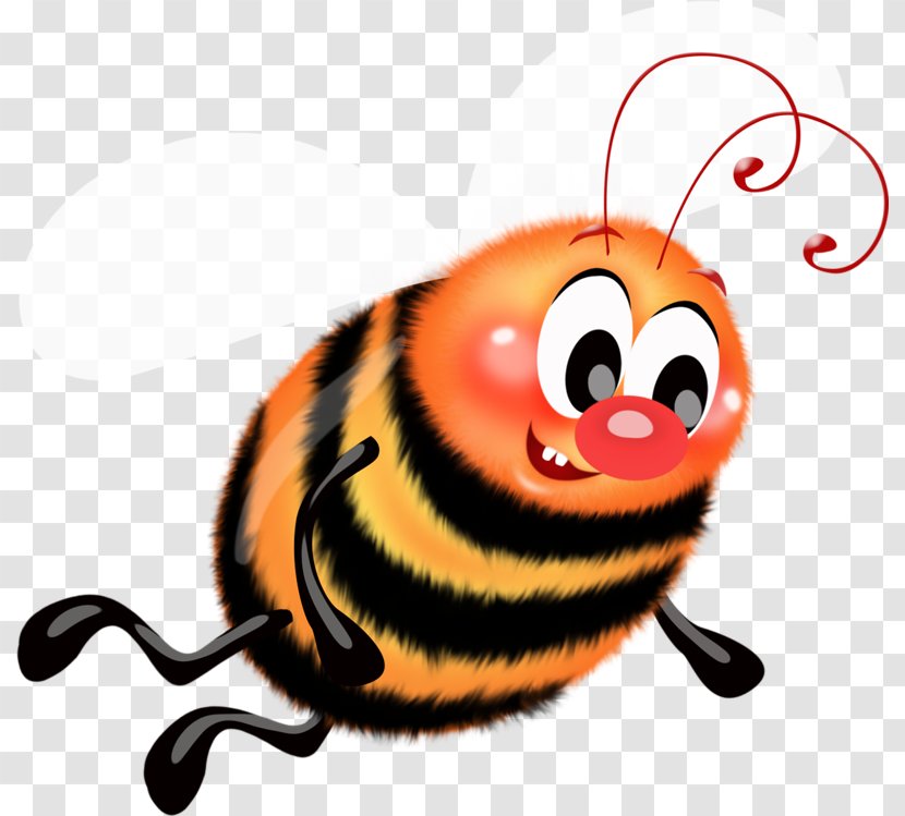 Ladybird Beetle Insect Western Honey Bee Bumblebee Transparent PNG