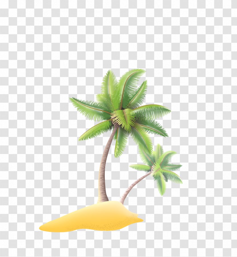 Luxury Yacht Drawing Illustration - Leaf - Coconut Tree Transparent PNG