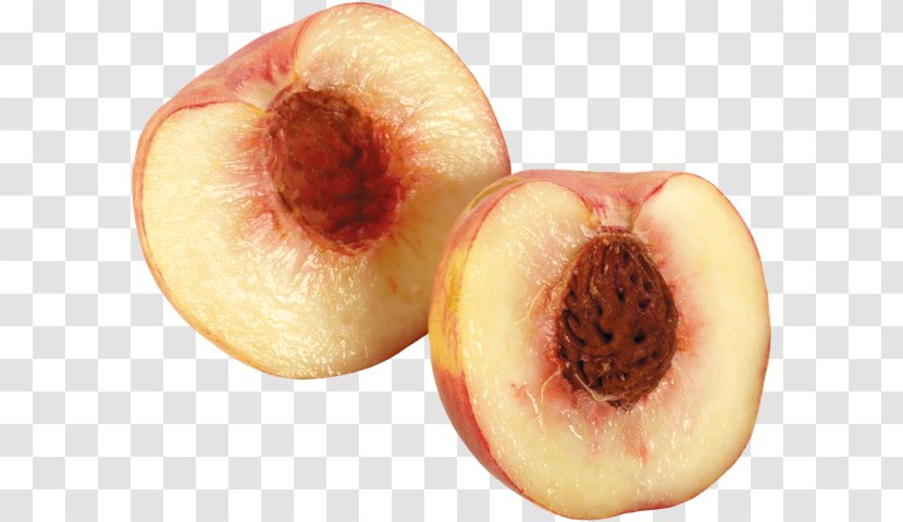 Graphics Software Download - Nectarine - Food Transparent PNG
