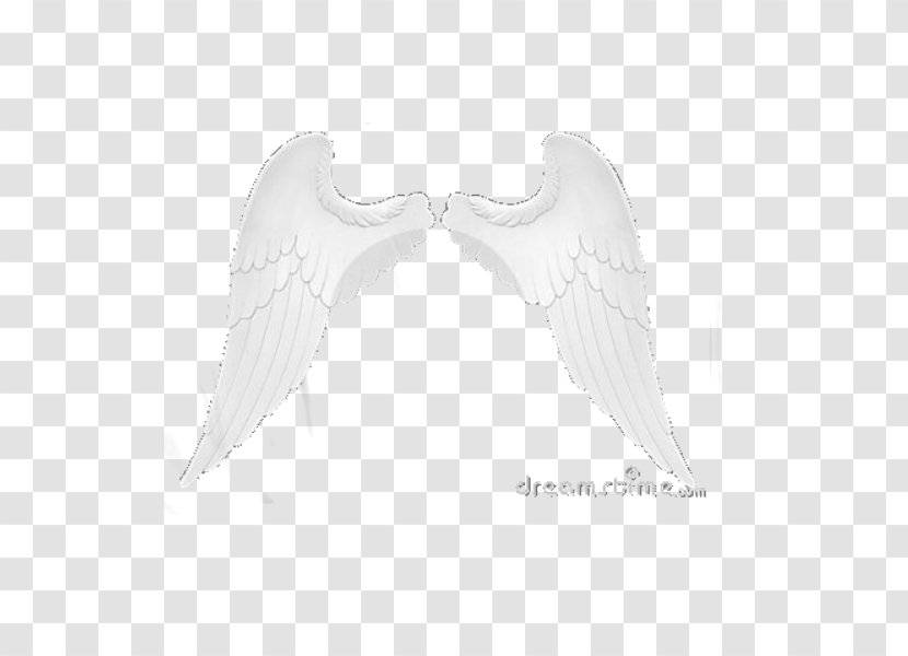 Bird Monochrome Photography Black And White - Angels Transparent PNG