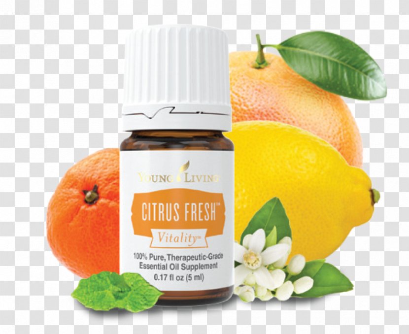 Clementine Tangerine Lemon Essential Oil - Citric Acid Transparent PNG