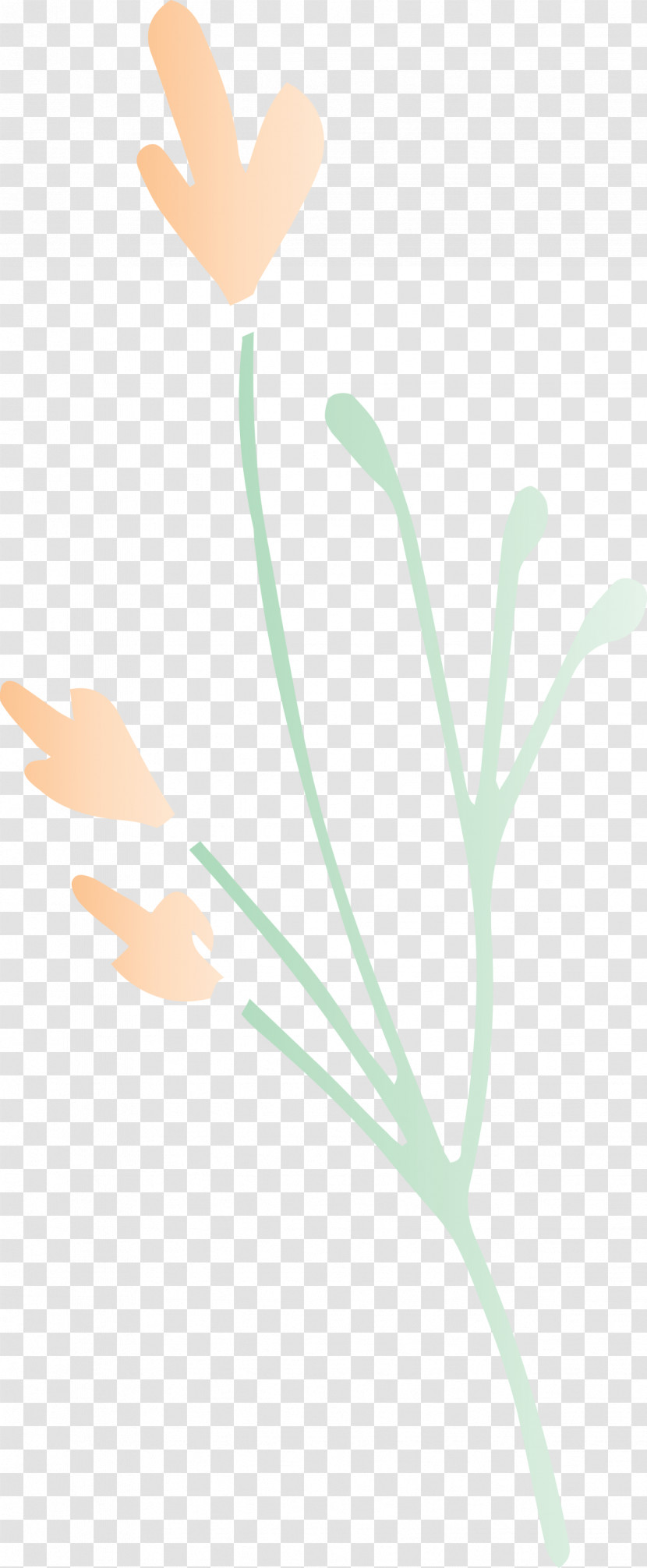 Leaf Branch Transparent PNG