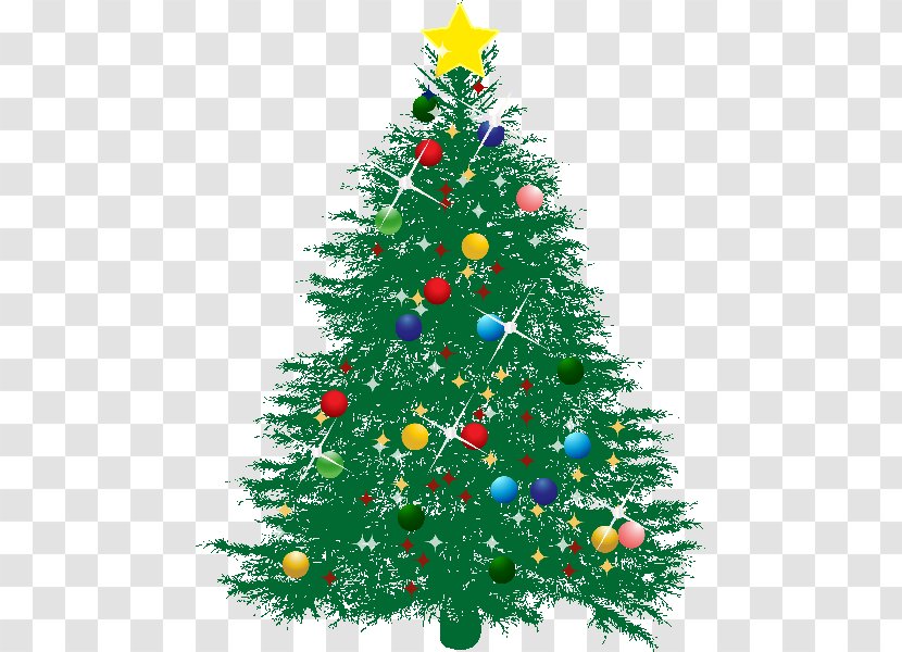 Christmas Tree Day Fir Spruce Transparent PNG