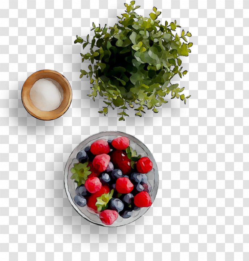 Superfood Tableware Vegetable Diet Food - Bilberry - Ingredient Transparent PNG
