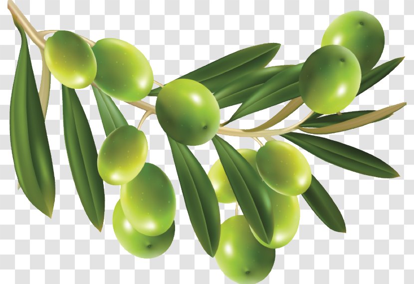 Olive Clip Art - Leaf Transparent PNG
