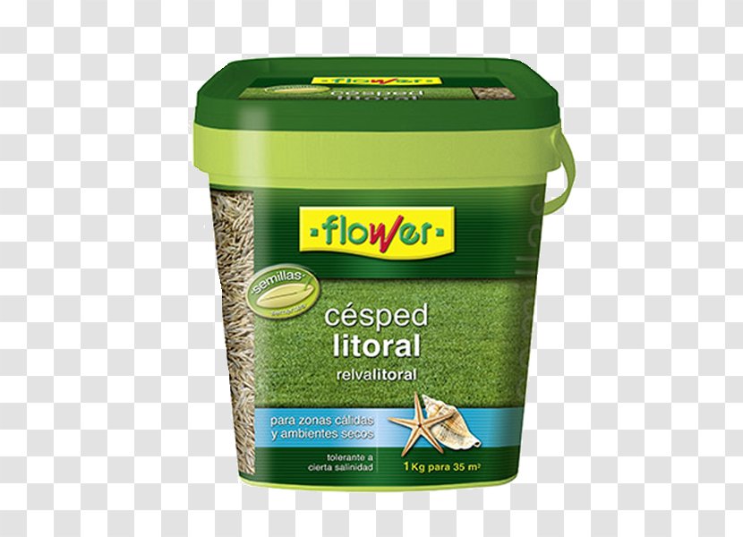 Perennial Ryegrass Seed Lawn Garden Fescues - Kilogram - Flower Transparent PNG