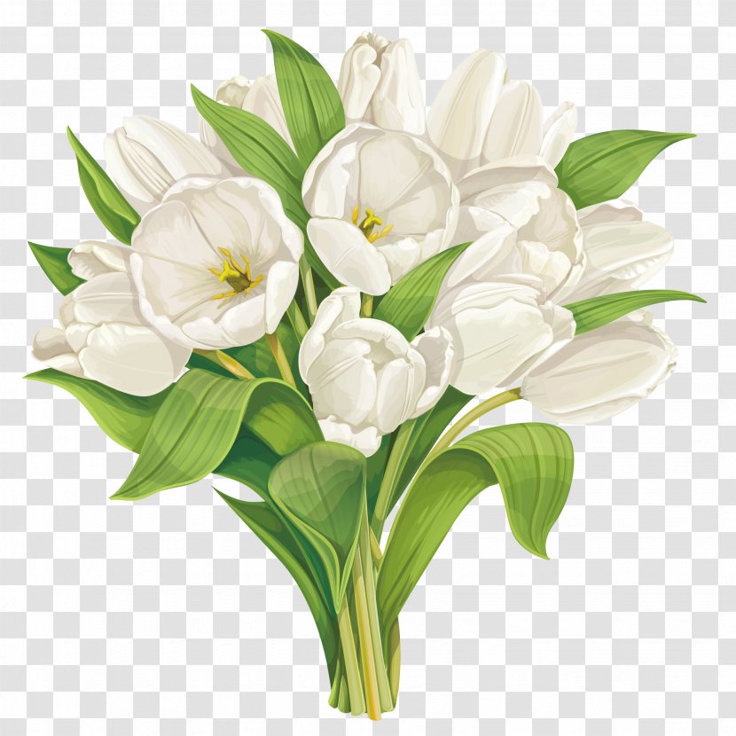Indira Gandhi Memorial Tulip Garden Stock Photography Flower Transparent PNG