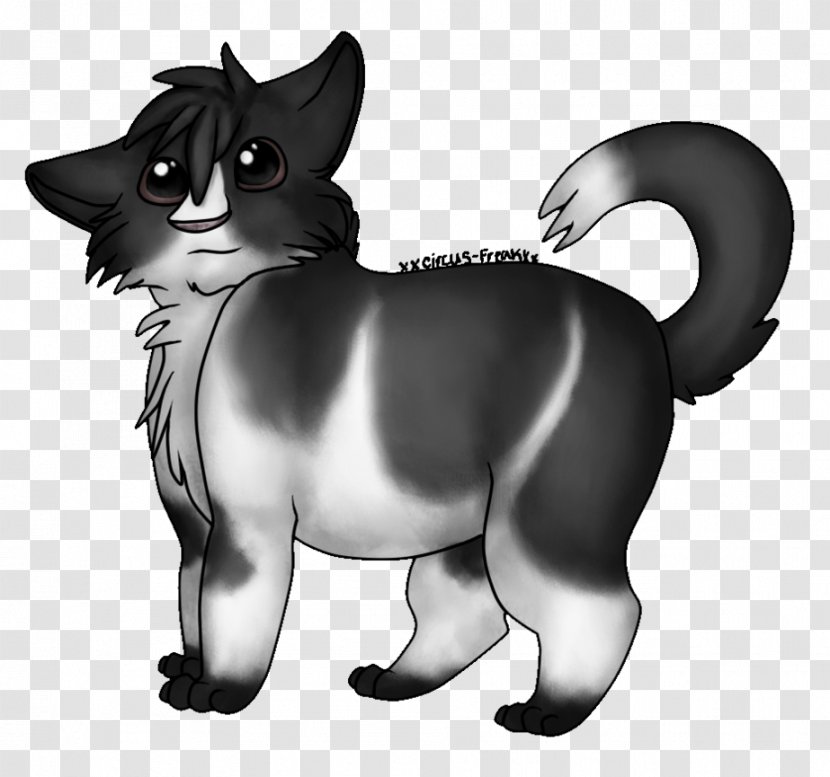Whiskers Kitten Dog Black Cat Transparent PNG