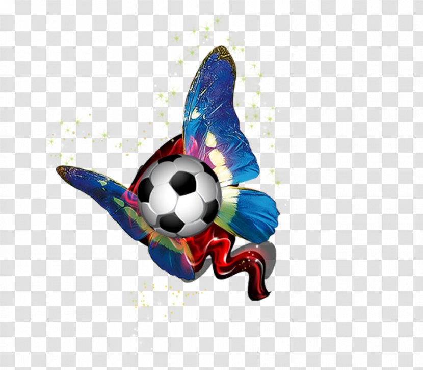 Europe Football Download - Butterfly - Flying Transparent PNG