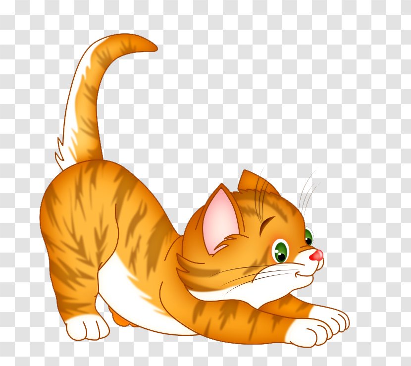 Kitten Whiskers Tabby Cat Boilersuit - Drawing Transparent PNG