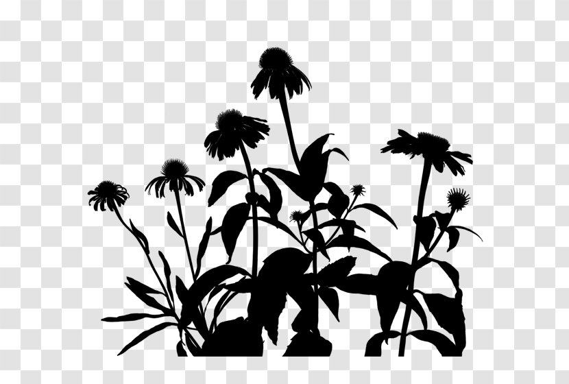 Flower Plant Stem Leaf Clip Art Silhouette - Blackandwhite Transparent PNG