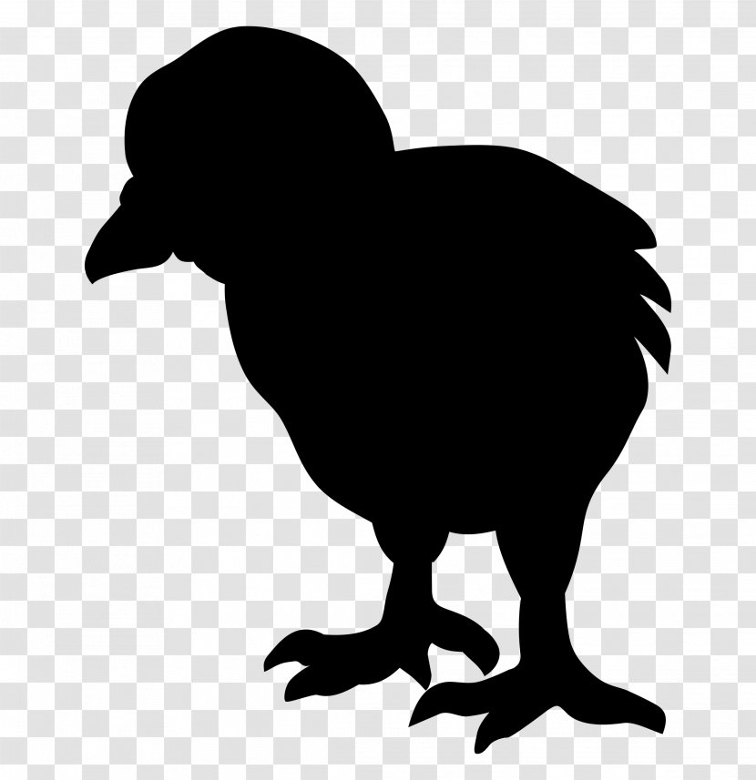 Rooster Chicken Clip Art Beak Silhouette - Bird - Vulture Transparent PNG