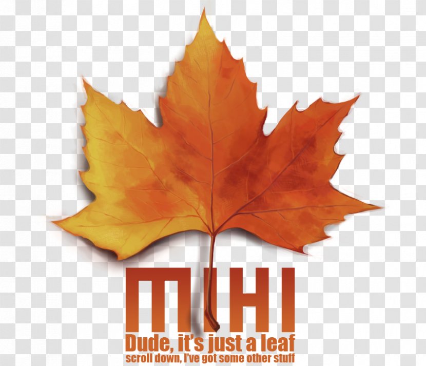 Maple Leaf Art Word - Roller Coaster - Dinglehopper Transparent PNG