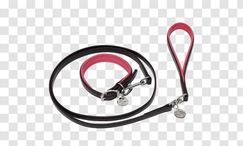 Leash Stethoscope Computer Hardware - Pinkcollar Worker Transparent PNG