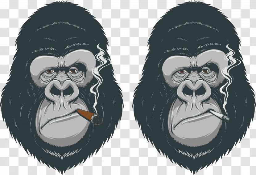 Gorilla Primate Chimpanzee Ape - Photography Transparent PNG