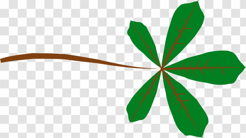 Leaf Lobe Pinnation Clip Art - Frond Transparent PNG