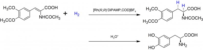 Levodopa Chemical Synthesis Chemistry Neurotransmitter Biosynthesis - Ddopa - L Transparent PNG