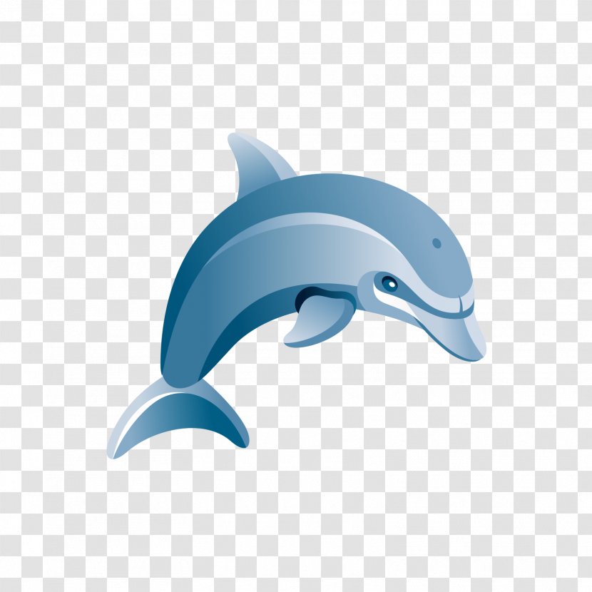 Common Bottlenose Dolphin Tucuxi Blue Illustration - Oceanic - Dolphins Transparent PNG